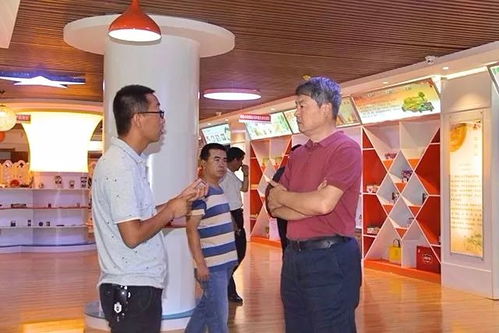 共享经济与新型智慧城市专家组调研渭源县电子商务公共服务中心