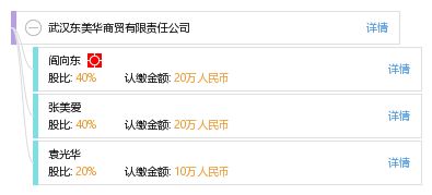 武汉东美华商贸有限责任公司 工商信息 信用报告 财务报表 电话地址查询 天眼查